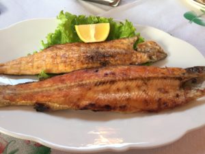 leckere Ohrid Forelle - Koran Koran Zgaze - Ohrid Forelle