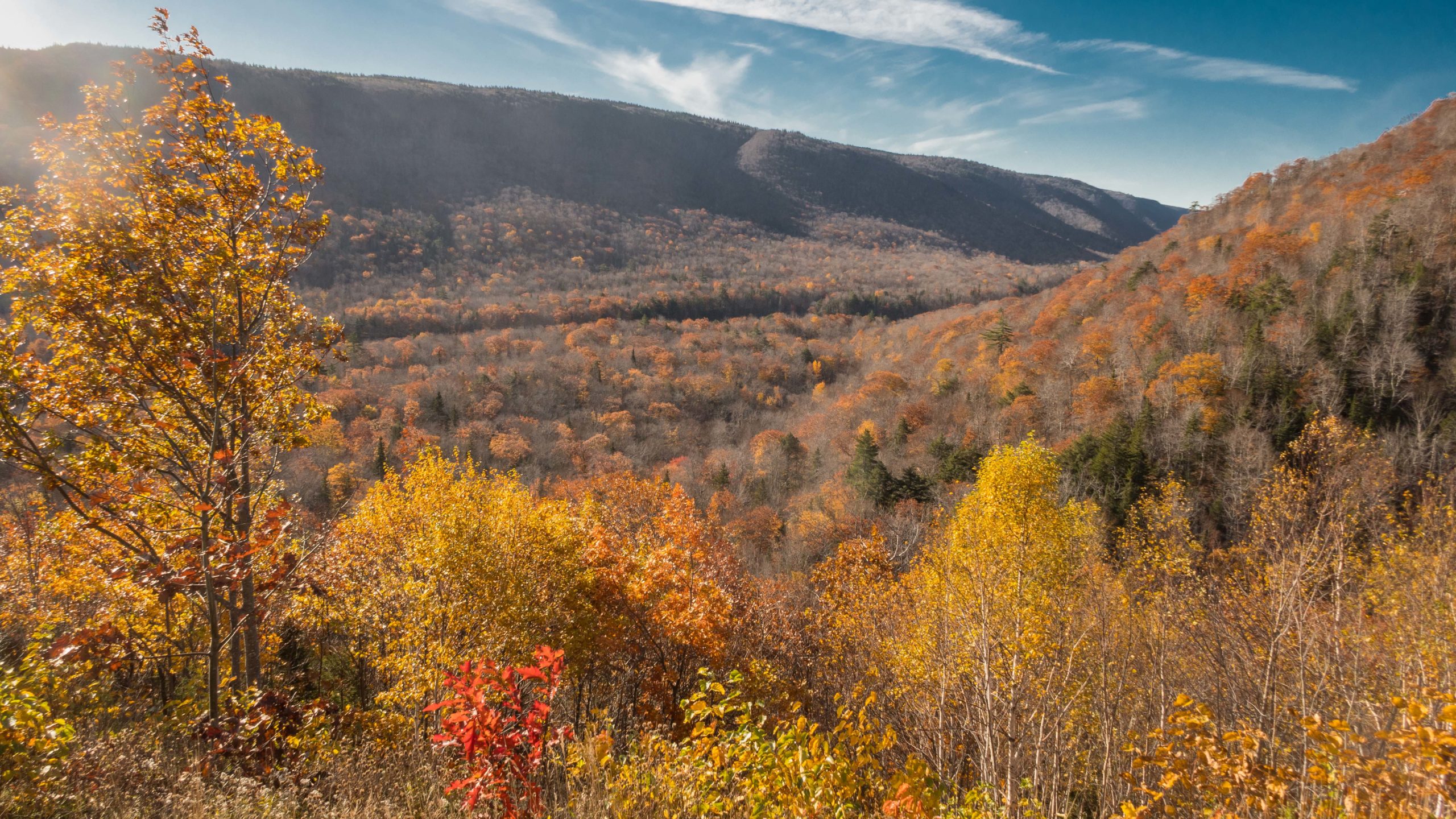 Cape Breton