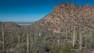 Saguaro Tucson NP