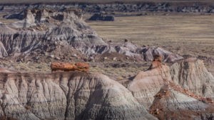 Petrified Forest