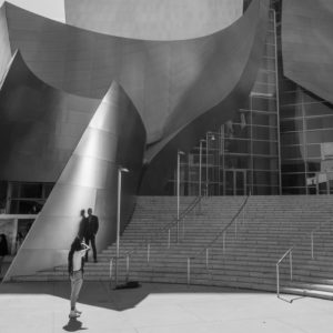 Disney Concert Hall Los Angeles