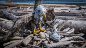 Esquimalt Lagoon
