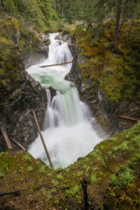 little Qualicum falls