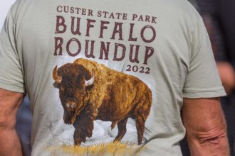 Buffalo roundup