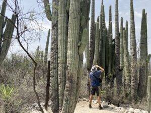 Jardin Botanico Helio Bravo