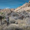 Joshua Tree NP